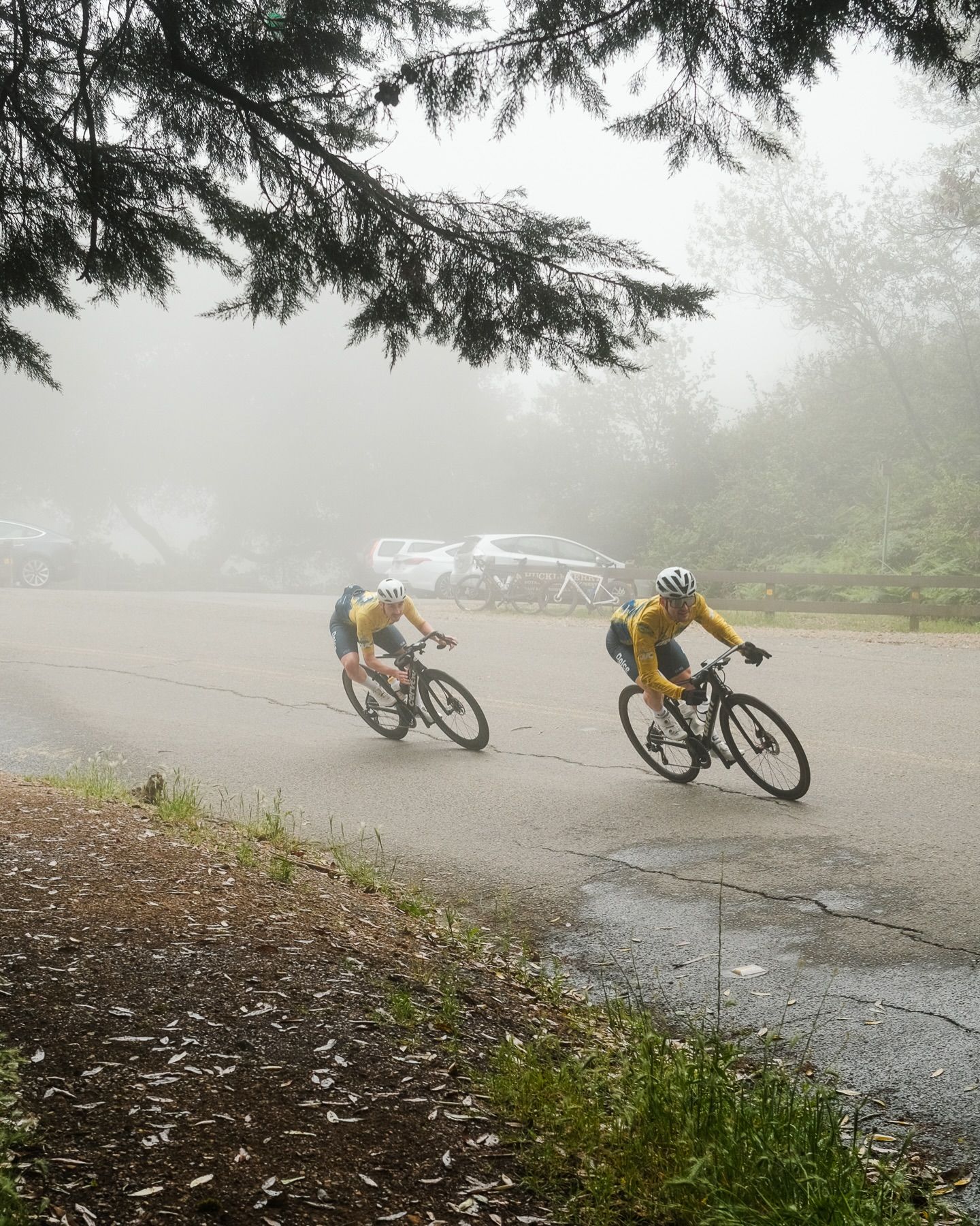 Foggy morning vibes with @dolce_vita_cycling. Moment of appreciation for our 2026 kit and sponsors 🙌

#cycling #ncnca #dolcevitacycling #racebikes
